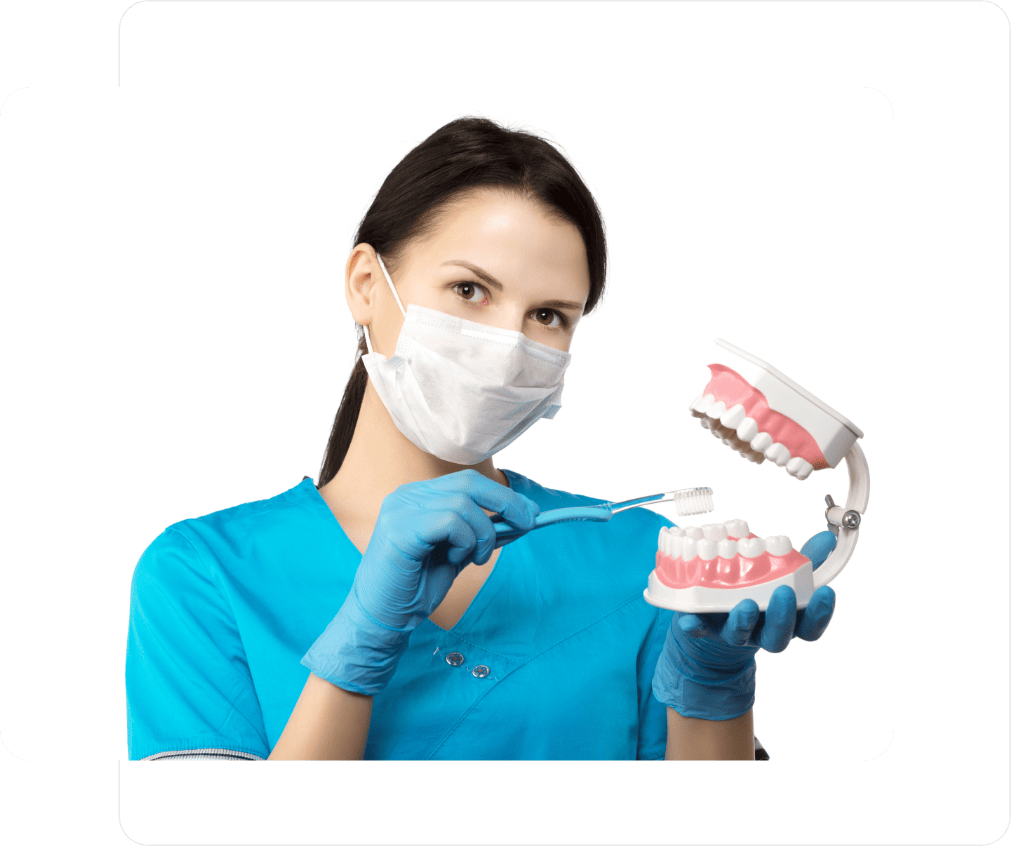 A dental staff nurse holding a replicate jaw demonstrating how to brush teeth